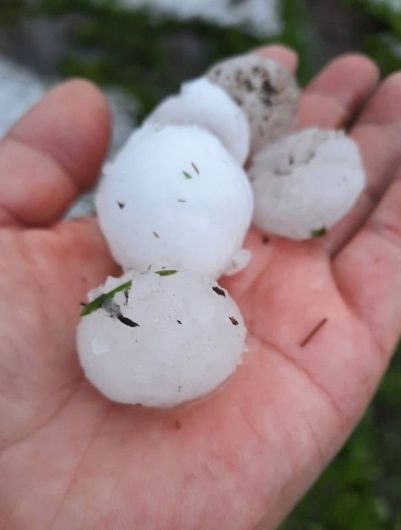 фото: vk.com/dzhida1