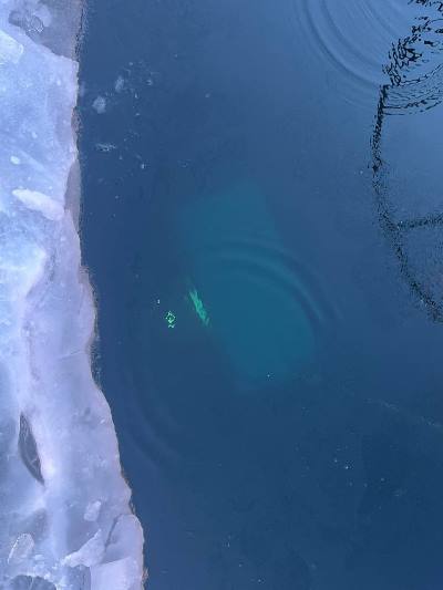 фото: Следком Иркутской области