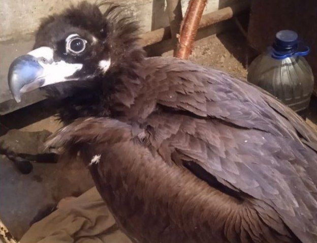 Фото: «Мухоршибирь-инфо.24/7»