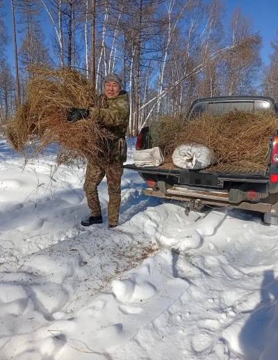 фото: Бурприроднадзор