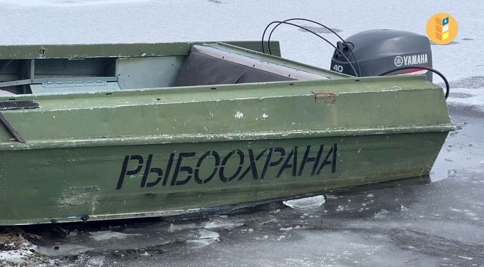 В Бурятии омуль попал в «демографическую яму» В Бурятии омуль попал в «демографическую яму»