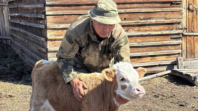 Ветеран СВО масштабирует ферму в районе Бурятии  Ветеран СВО масштабирует ферму в районе Бурятии
