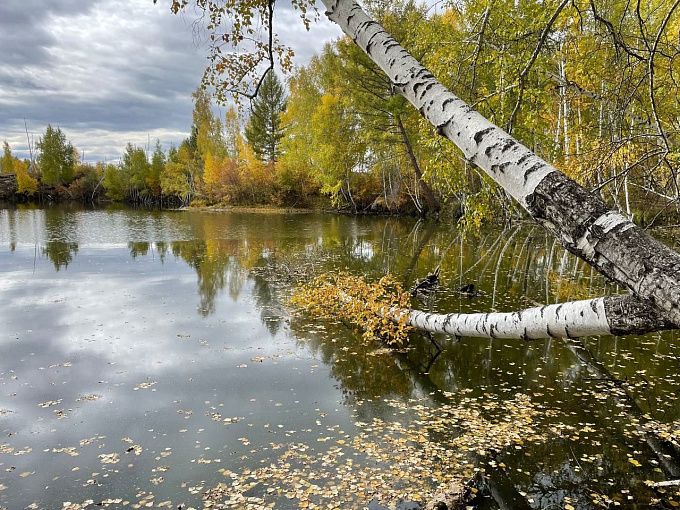 В Бурятии сохранится по-осеннему пасмурная погода  В Бурятии сохранится по-осеннему пасмурная погода