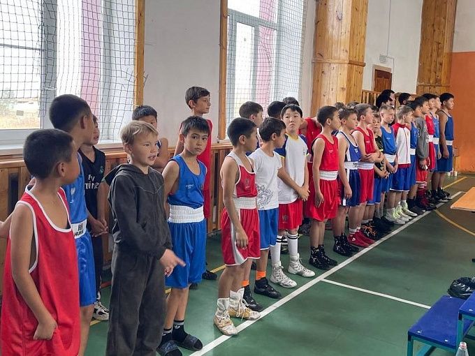 Боксеры Бурятии сразились на юношеском турнире Боксеры Бурятии сразились на юношеском турнире